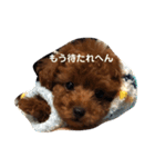 リクまる（個別スタンプ：14）