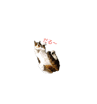 とのにゃ！（個別スタンプ：1）