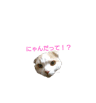 とのにゃ！（個別スタンプ：3）