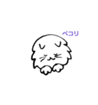 Mofmofnyanko（個別スタンプ：1）