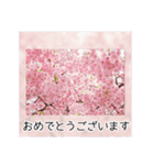 綺麗な桜の写真でお花見気分♡ゆるっと敬語（個別スタンプ：21）