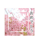 綺麗な桜の写真でお花見気分♡ゆるっと敬語（個別スタンプ：22）