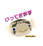 ROCOのお魚図鑑（個別スタンプ：1）