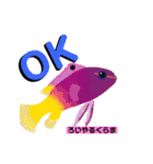 ROCOのお魚図鑑（個別スタンプ：5）