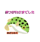 ROCOのお魚図鑑（個別スタンプ：8）