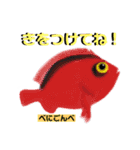 ROCOのお魚図鑑（個別スタンプ：9）