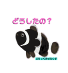 ROCOのお魚図鑑（個別スタンプ：13）