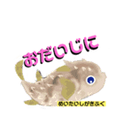 ROCOのお魚図鑑（個別スタンプ：14）