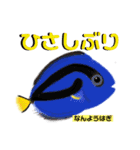 ROCOのお魚図鑑（個別スタンプ：16）