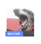 どんの気持ち（個別スタンプ：6）
