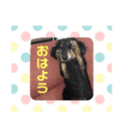 どんの気持ち（個別スタンプ：7）