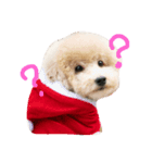 可愛いペットちゃん㉘（個別スタンプ：1）