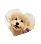 可愛いペットちゃん㉘（個別スタンプ：5）