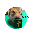 はむ子 日常スタンプ（個別スタンプ：14）