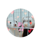 MY BABY FAMILY'S（個別スタンプ：28）