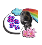 僕は、フレンドリーなワンコ、ココ！（個別スタンプ：1）