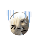 キャロミシェ（個別スタンプ：4）