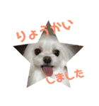 キャロミシェ（個別スタンプ：5）