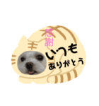 キャロミシェ（個別スタンプ：8）
