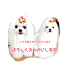 キャロミシェ（個別スタンプ：9）
