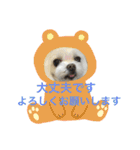 キャロミシェ（個別スタンプ：12）
