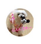 キャロミシェ（個別スタンプ：18）