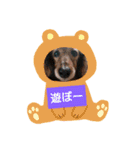 愛犬ふらわーちゃん（個別スタンプ：11）