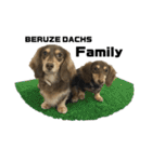 ベルゼ犬（個別スタンプ：29）