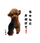 愛犬こまち1（個別スタンプ：2）