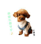 愛犬こまち1（個別スタンプ：5）