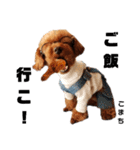 愛犬こまち1（個別スタンプ：12）