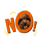 愛犬こまち1（個別スタンプ：15）
