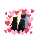CATs☆猫組NO3（個別スタンプ：2）