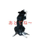 ウルフ君（個別スタンプ：6）