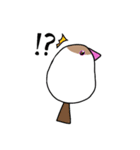 文鳥のまるちゃん（個別スタンプ：3）