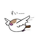 文鳥のまるちゃん（個別スタンプ：4）