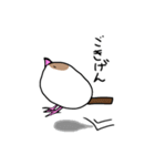 文鳥のまるちゃん（個別スタンプ：5）