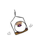 文鳥のまるちゃん（個別スタンプ：8）