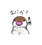 文鳥のまるちゃん（個別スタンプ：16）