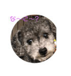 ティン1（個別スタンプ：2）