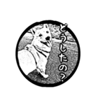 白黒ハンコ風動物スタンプ（個別スタンプ：2）