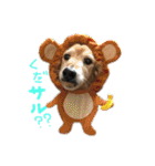 Lai すたんぷ☺︎（個別スタンプ：1）