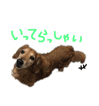 Lai すたんぷ☺︎（個別スタンプ：5）