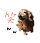 Lai すたんぷ☺︎（個別スタンプ：11）