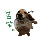 Lai すたんぷ☺︎（個別スタンプ：12）