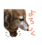 Lai すたんぷ☺︎（個別スタンプ：14）