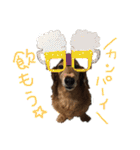 Lai すたんぷ☺︎（個別スタンプ：15）