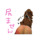 Lai すたんぷ☺︎（個別スタンプ：16）