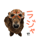 Lai すたんぷ☺︎（個別スタンプ：19）