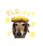 Lai すたんぷ☺︎（個別スタンプ：23）